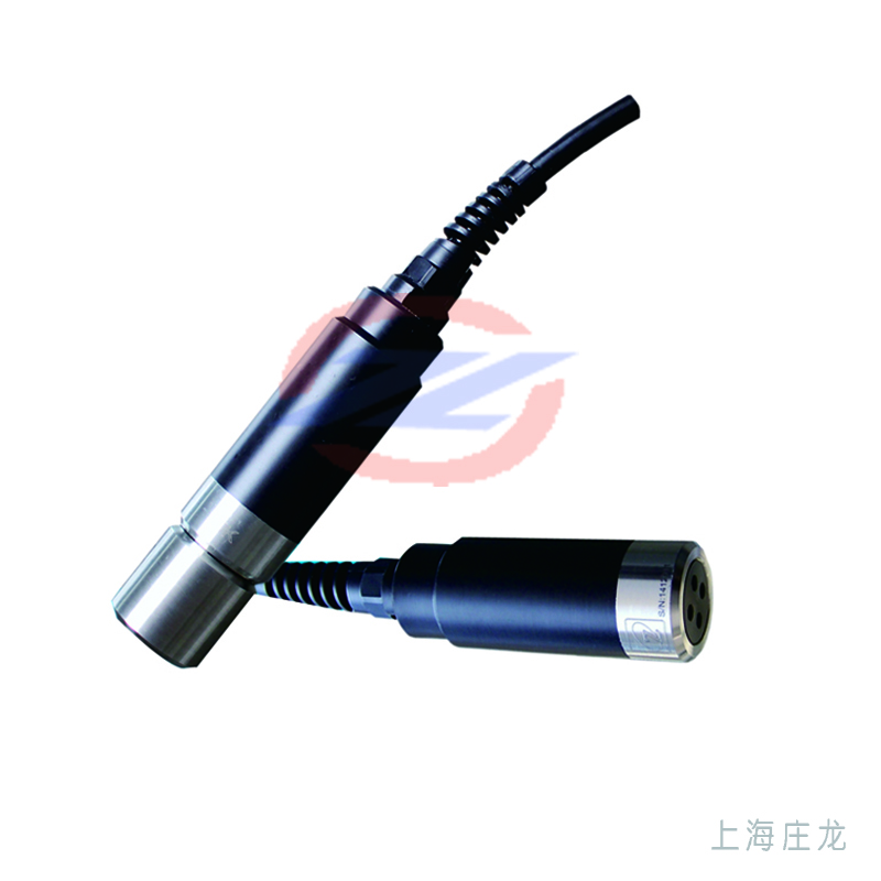 投入式液位变送器 PT310L/210L